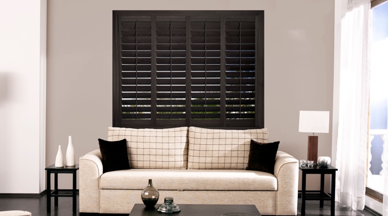 Minneapolis sitting room with plantation shutters.